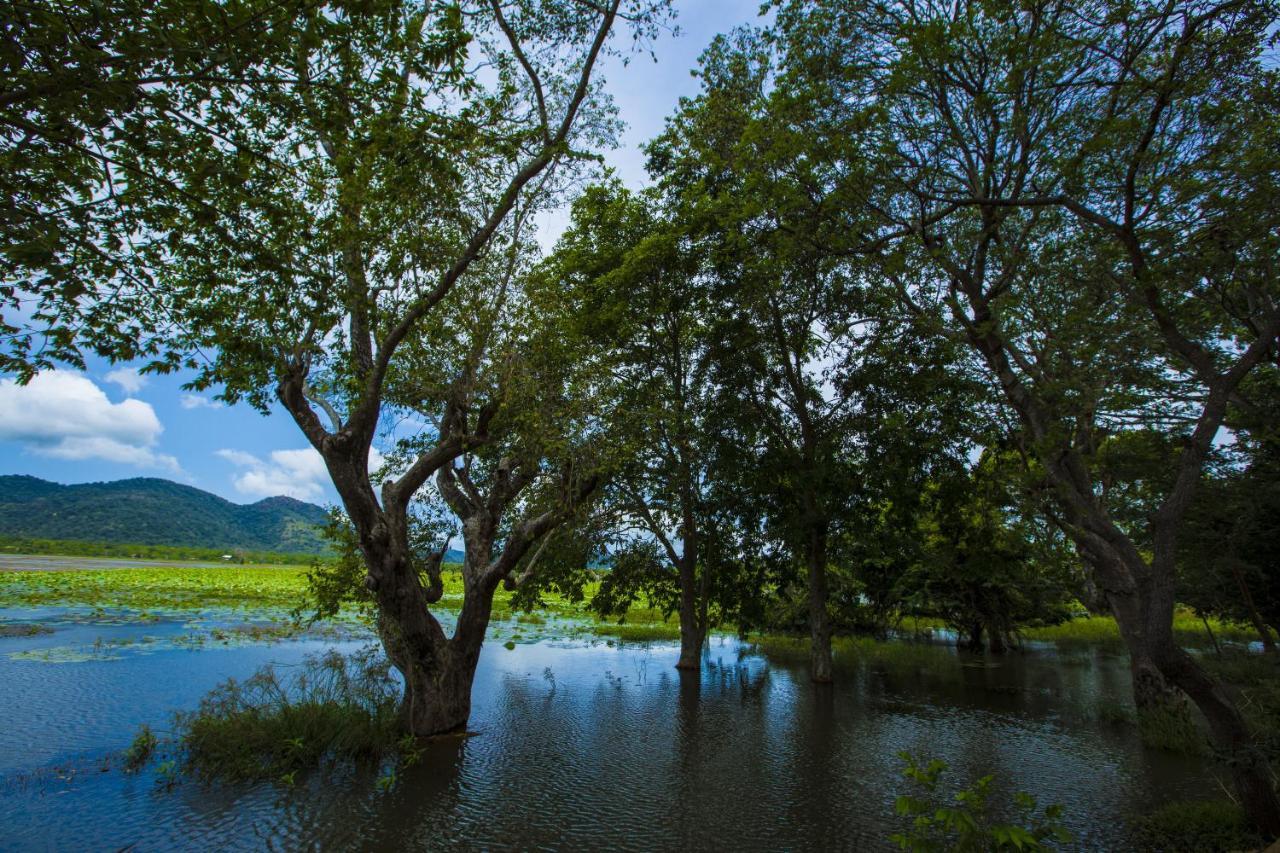 Grand Tamarind Lake Катарагама Екстериор снимка